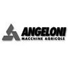 http://www.angeloniweb.it/