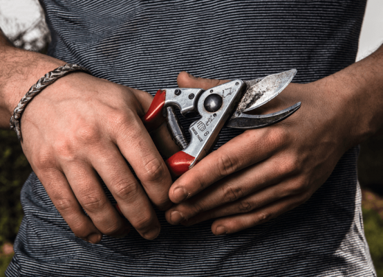 Forbice Felco 8 - immagine 2