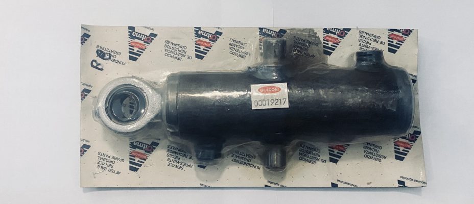 Cilindro 10de48/22 Goldoni originale