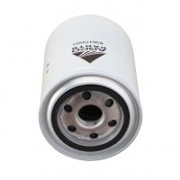 Filtro Olio Motore
